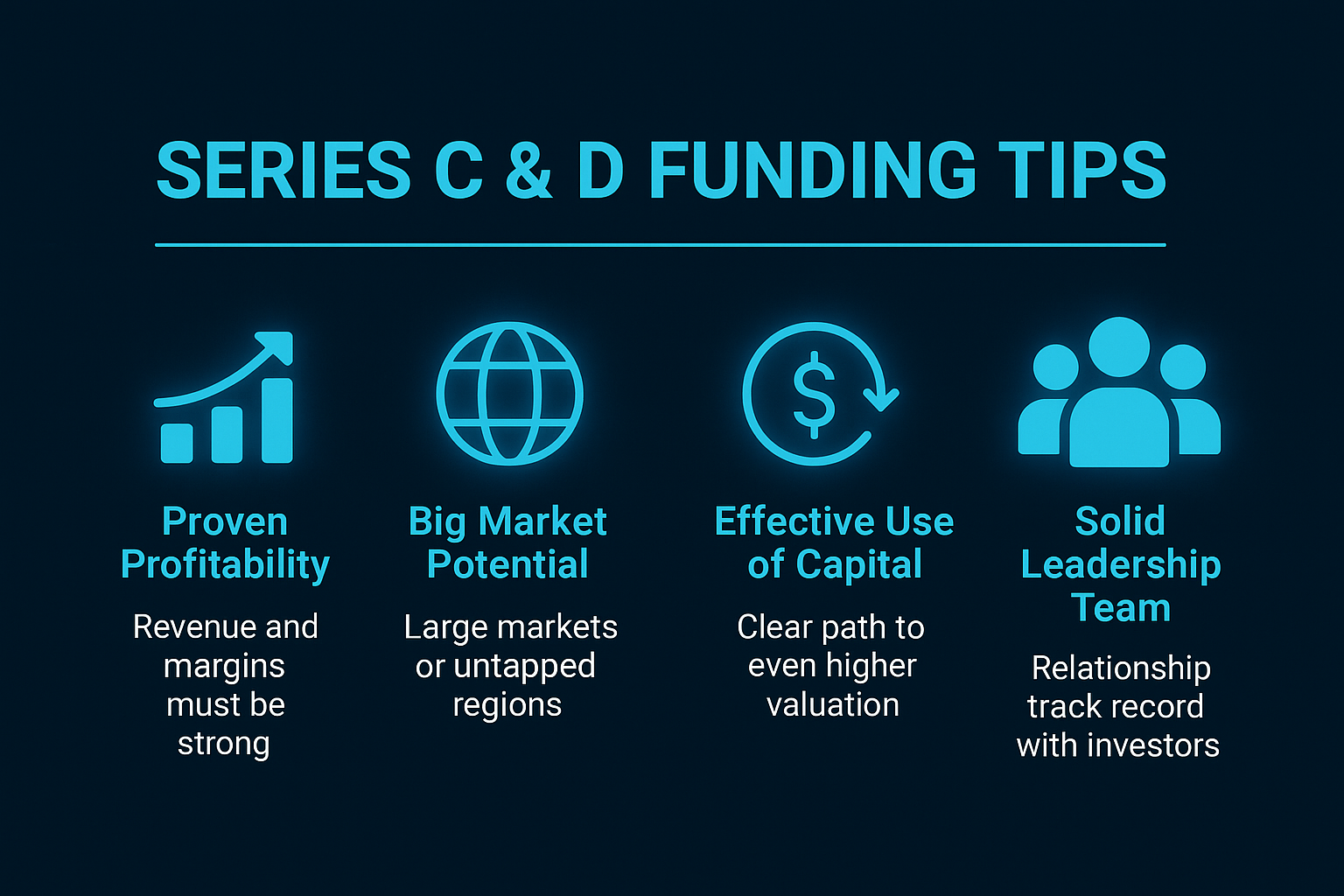 Infographic outlining Series C and D funding tips, including profitability, market potential, capital efficiency, and a strong leadership team