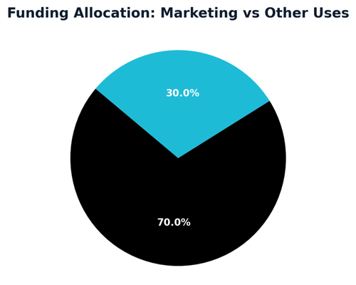 Pie chart showing $12M Series A with 30% allocated to growth marketing and 70% to other funding uses.