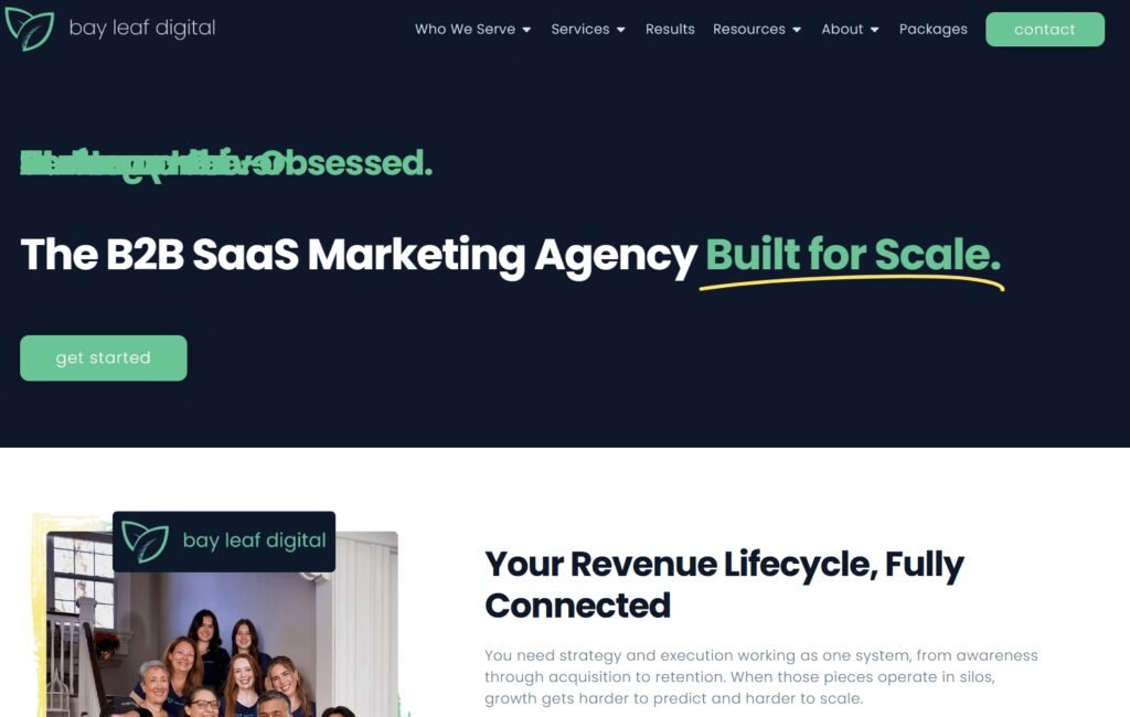 bayleafdigital Revenue Lifecycle, Fully Connected